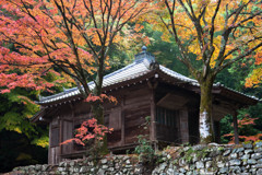 安楽律院