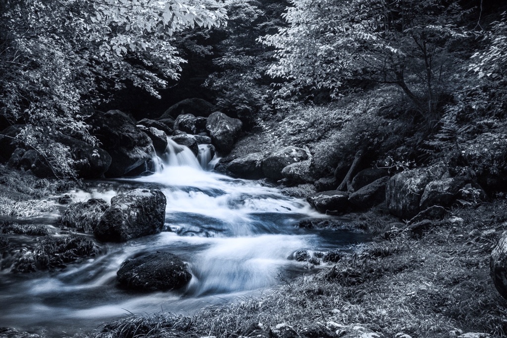 流れ
