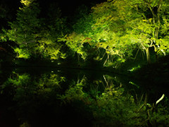 高台寺ライトアップ