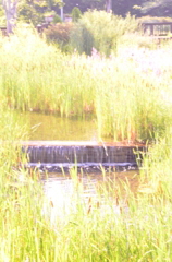 長閑な風景