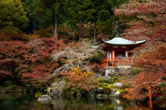 醍醐寺