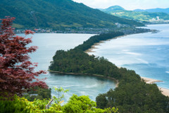 天橋立