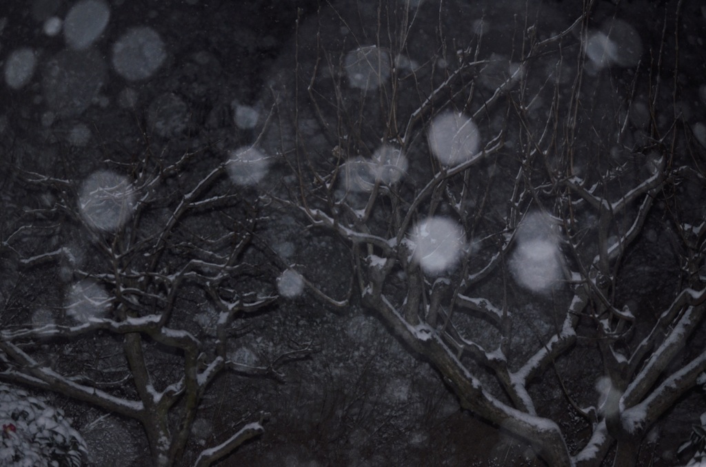 雪の華