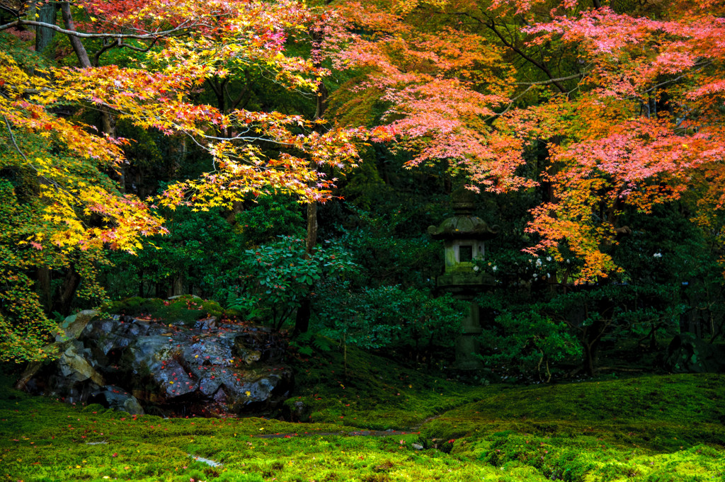 瑠璃光院２