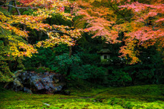 瑠璃光院２