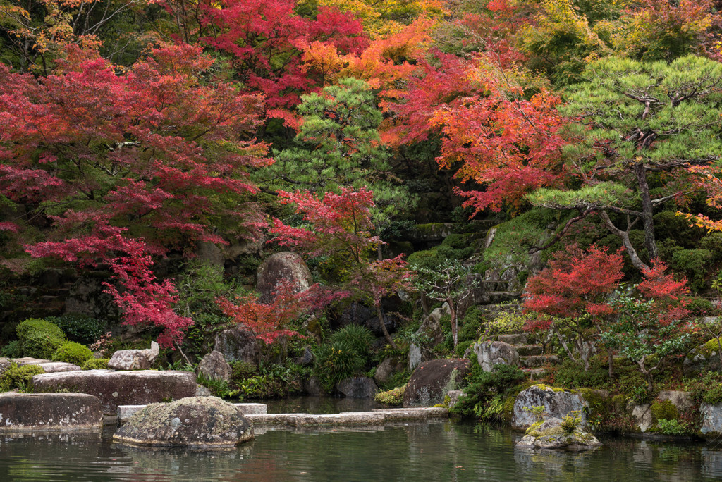 百済寺紅葉２