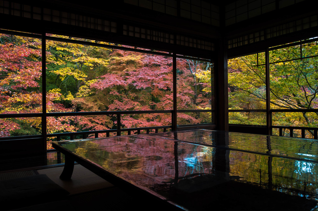 瑠璃光院