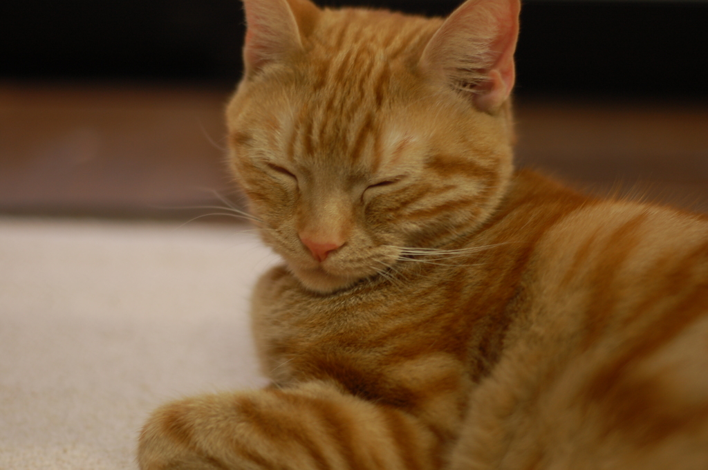 眠い！