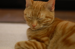 眠い！