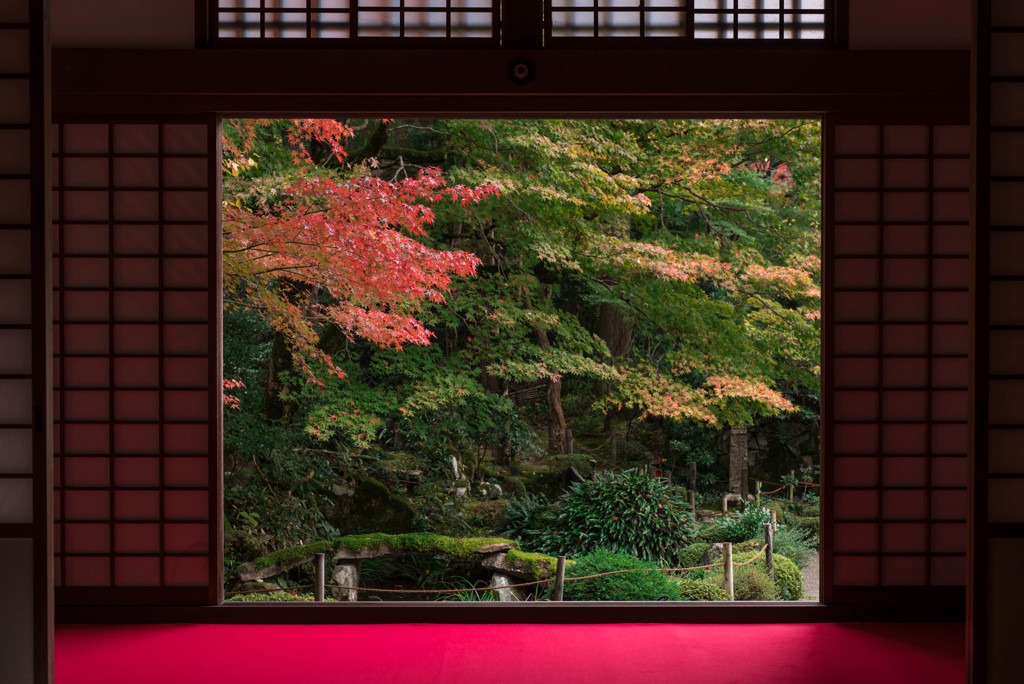 金剛輪寺紅葉２