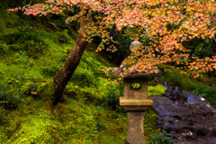 瑠璃光色３