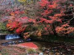 曽木公園