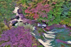 紅葉と滝