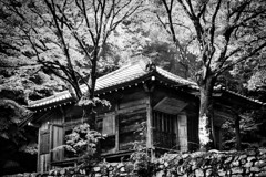 安楽律院２