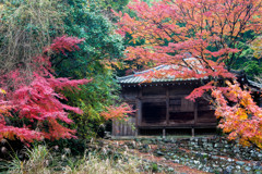 安楽律院４