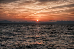 湖岸緑地　松原夕日２