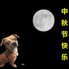 中秋の名月