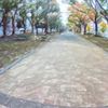横浜関内・大通公園