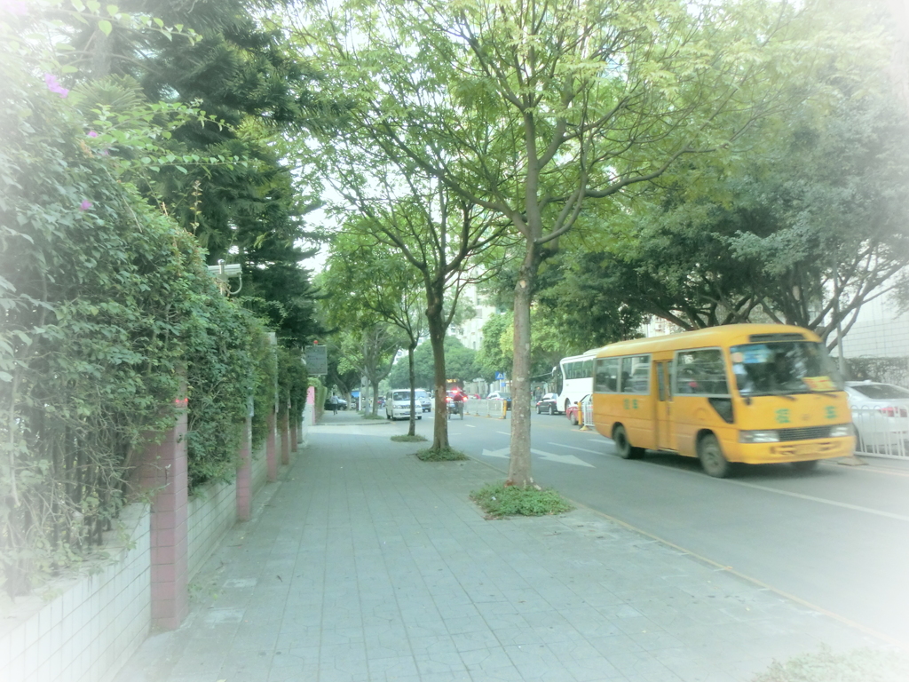 CIMG8176