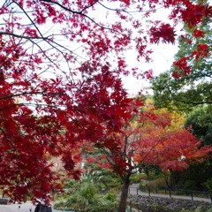 横浜公園内日本庭園