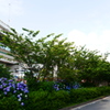 P1010258