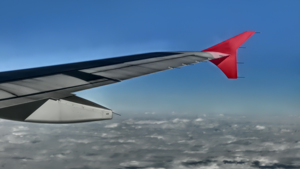 空飛ぶ赤いヒレ