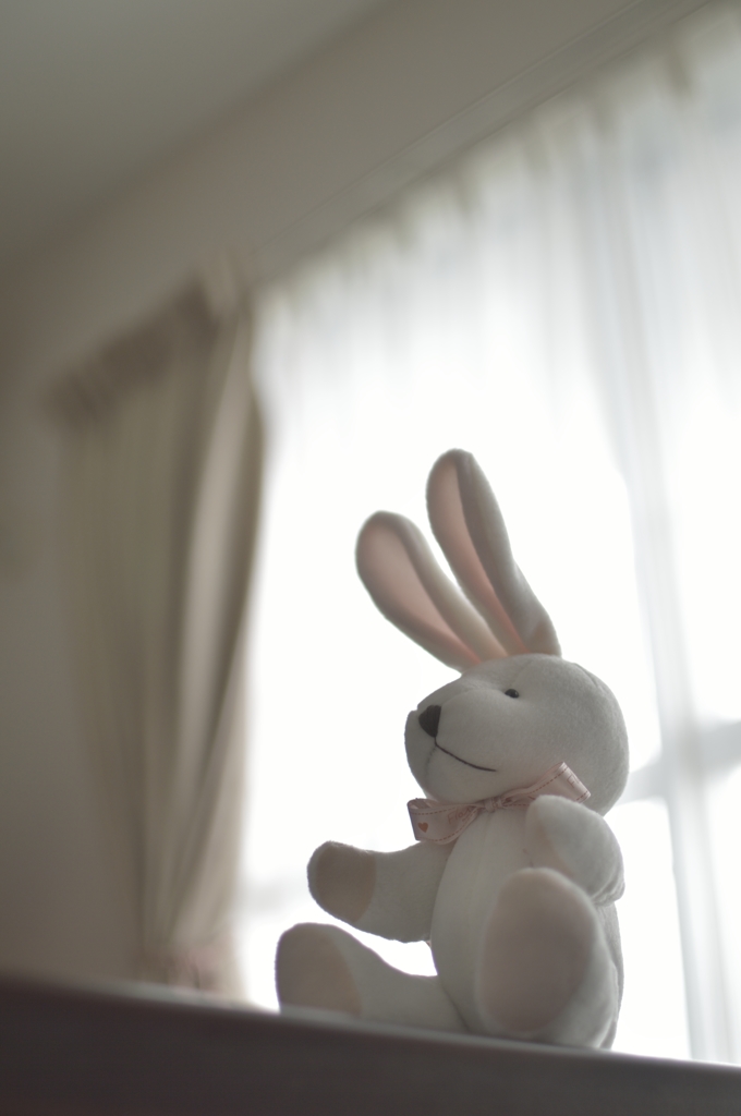 「やんちゃ」 じゃないほうのウサギ