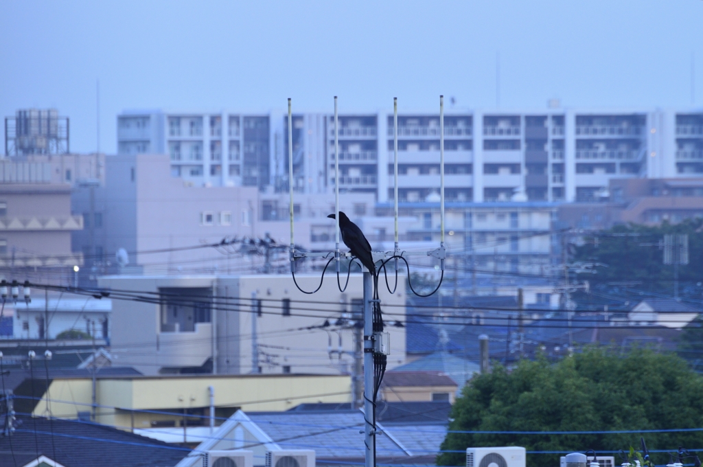 物色中