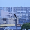 物色中