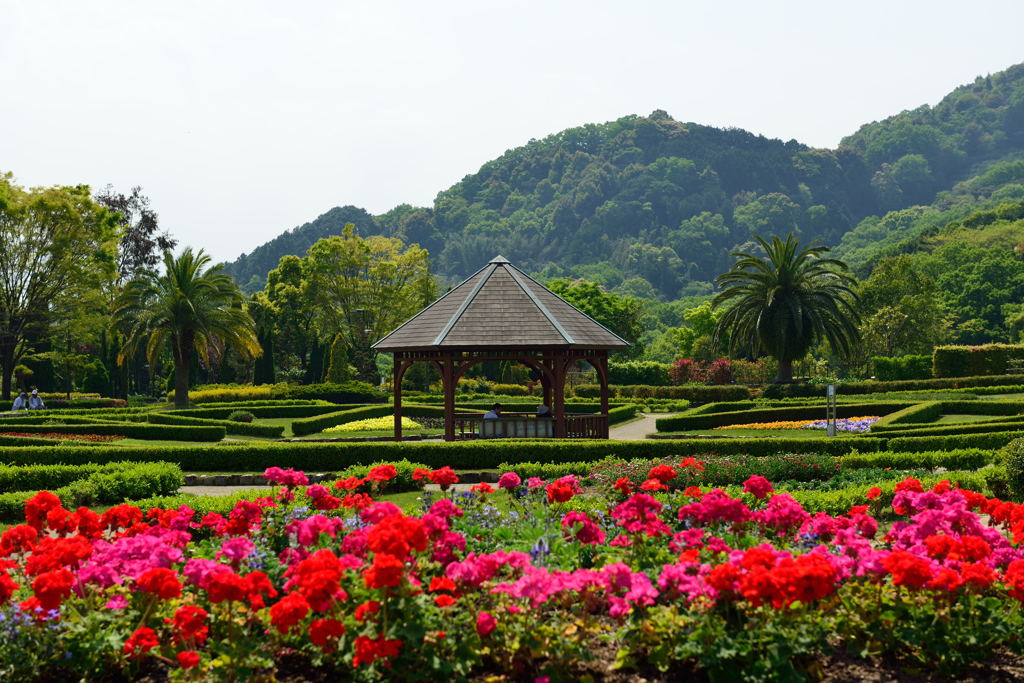 植物園
