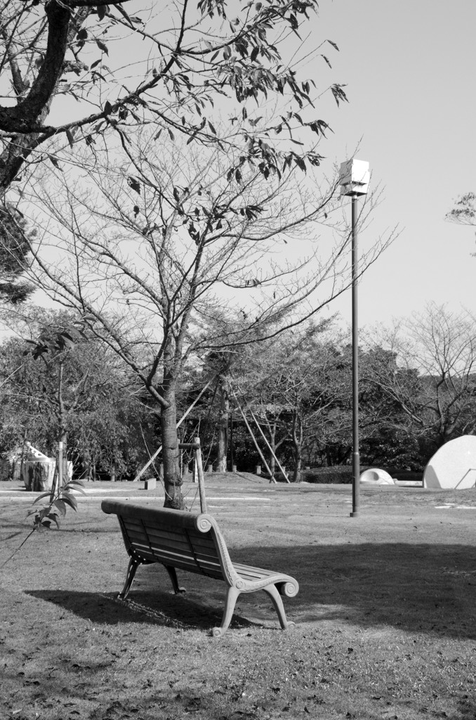 冬の公園