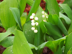 P1012441