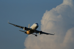 AA4Q9703