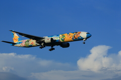 AA4Q9671