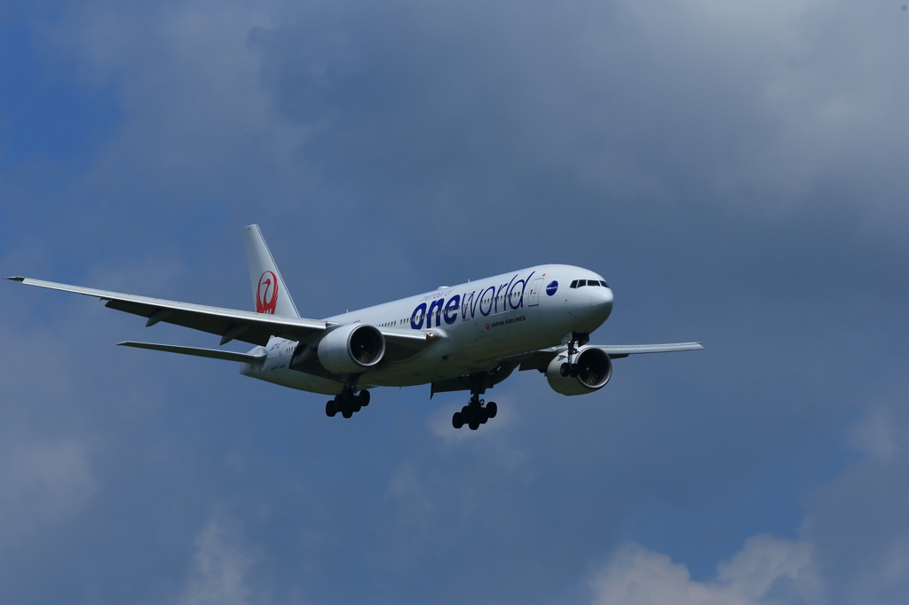 AA4Q9517