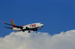AA4Q9559