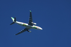 大空へ