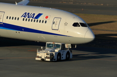 AA4Q1381