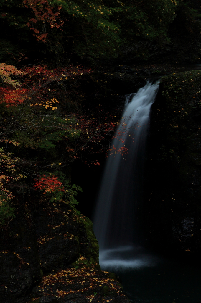 紅葉と滝