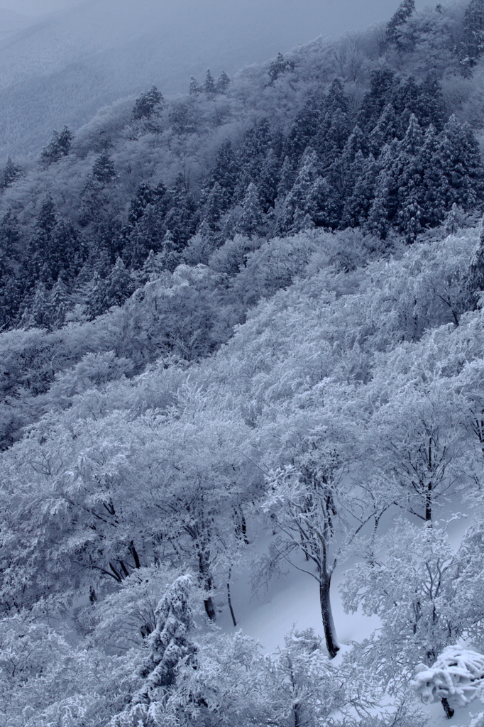 雪化粧