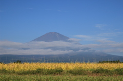 IMG_9451
