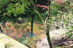 県民の森