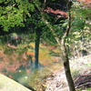 県民の森