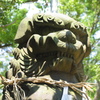 四山神社の狛犬
