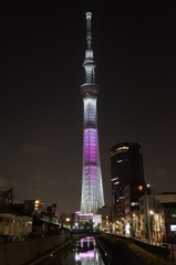 上から下見たいネ！