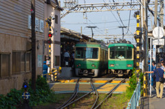 にぎわう緑の電車たち