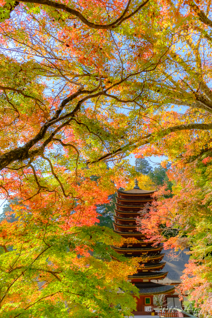 かたらい山の麓