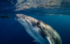 ゆっくりゆっくり