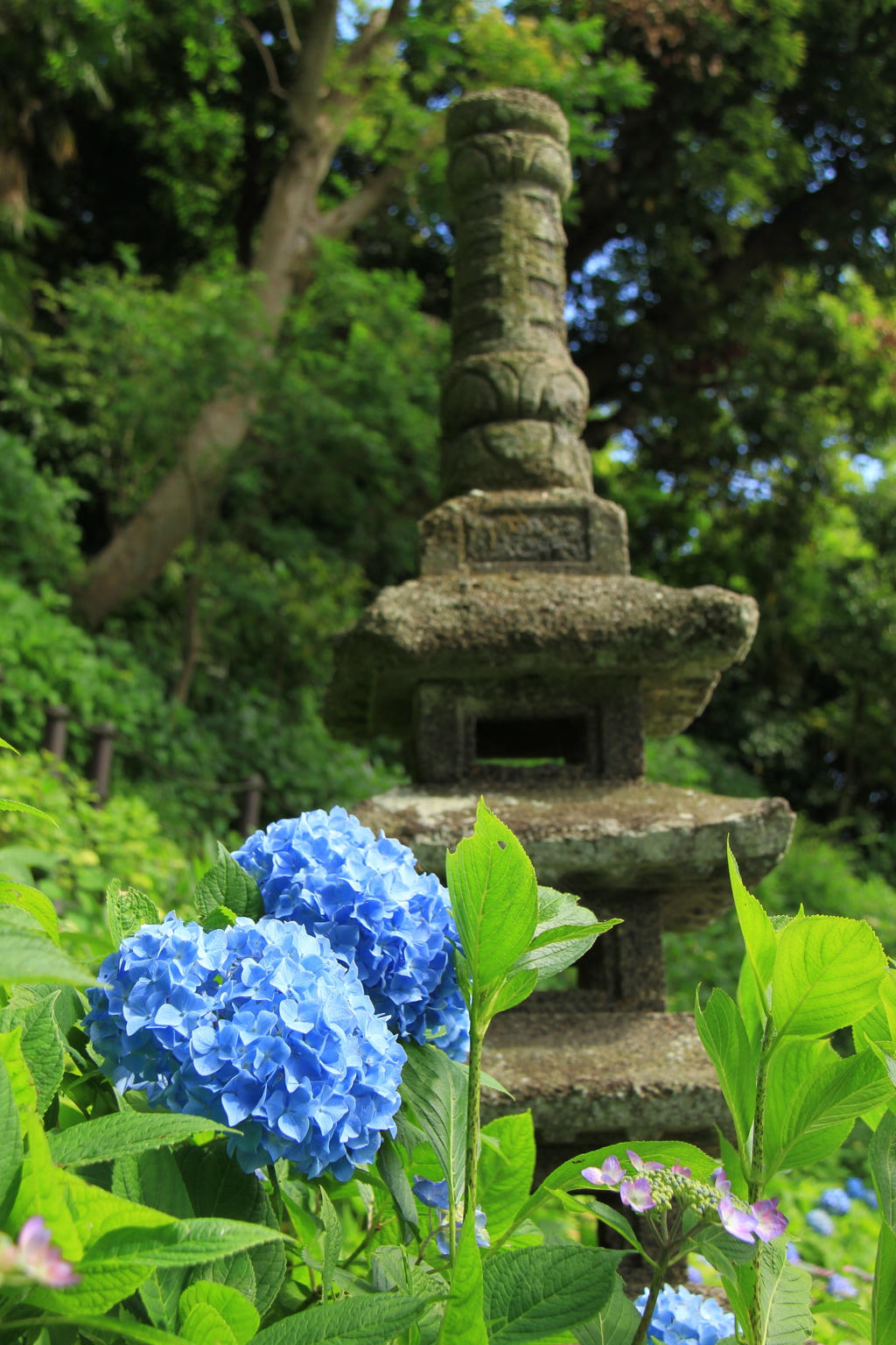 鎌倉の旅　⑦