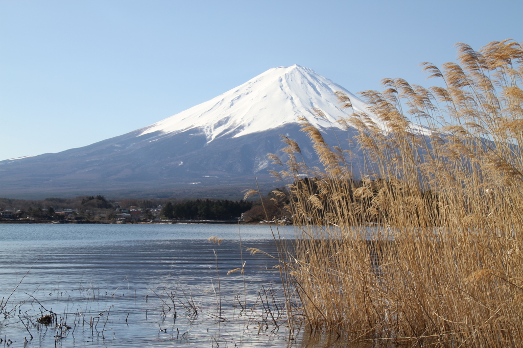 富士山旅行 (170)